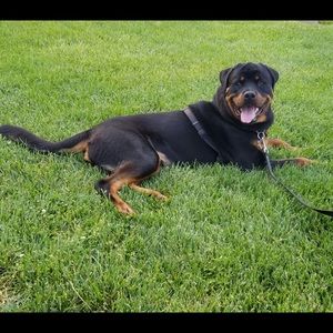 Meet your Posher, Michael